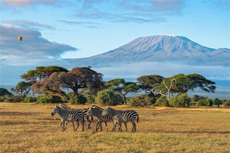 Savannenträume im Tierparadies © Soumabrata Moulick /adobestock